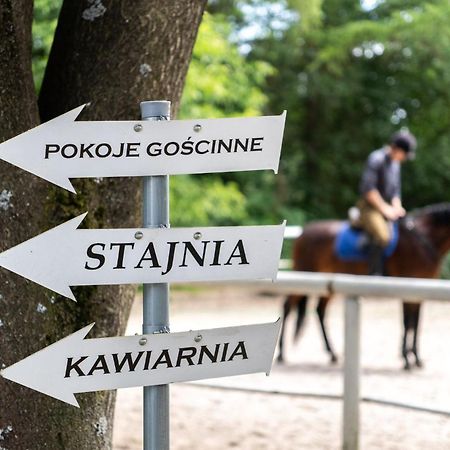 Pokoje Goscinne Cheval 克拉科夫 外观 照片