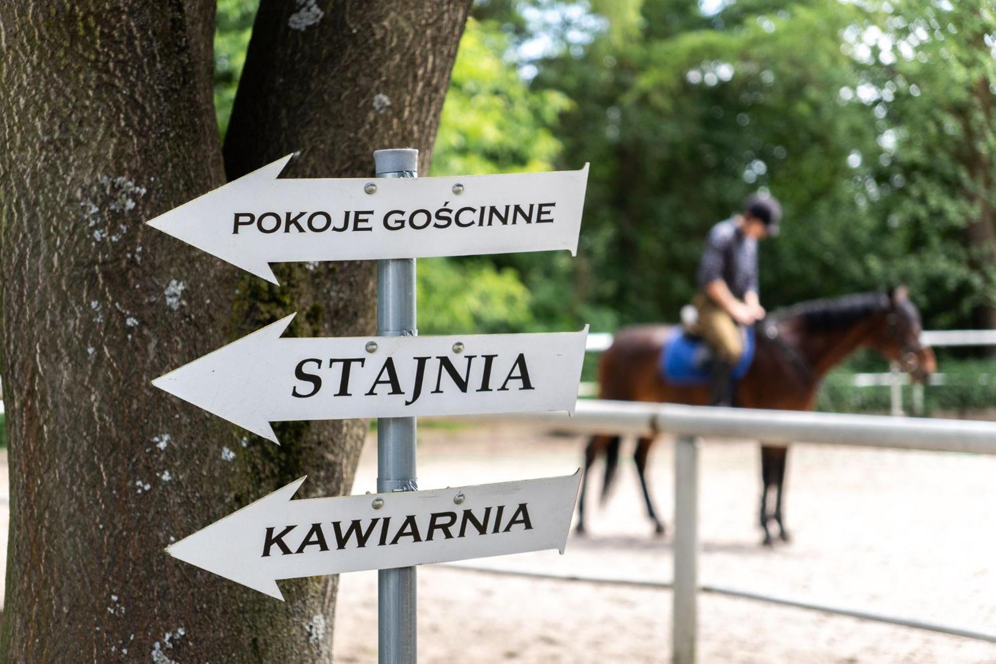 Pokoje Goscinne Cheval 克拉科夫 外观 照片